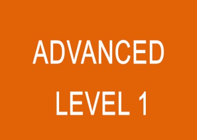 Advanced (Level 1)