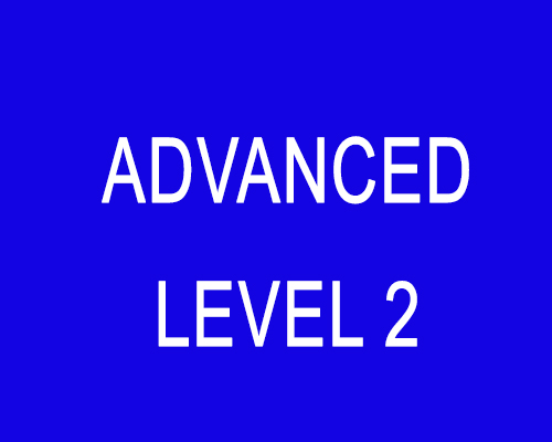 Advanced (Level 2)