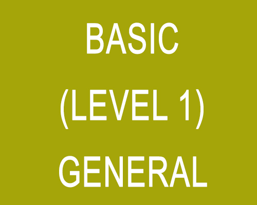 Basic (Level 1) – General