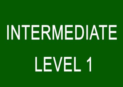 Intermediate (Level 1)