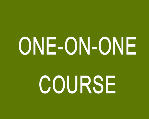 One-on-One Course